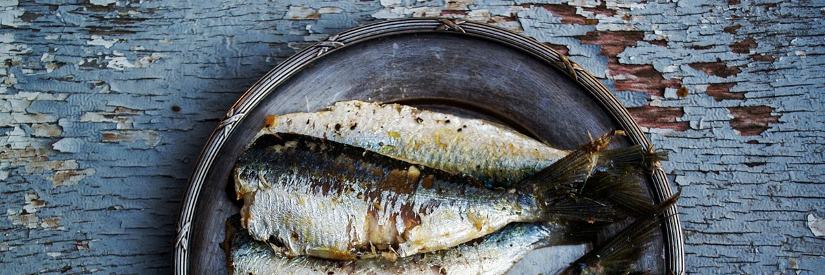 Pesce di mare